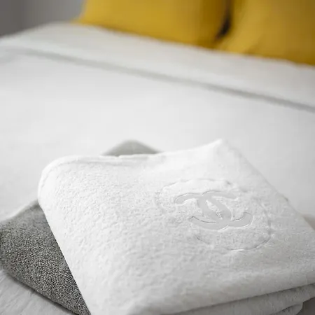 L Elegance Toulousaine Avec Garage * Toulouse